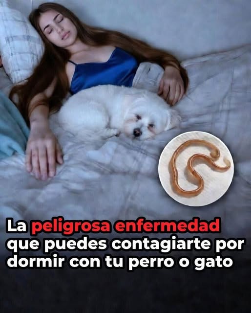 ¿Dormir con tu perro o gato es peligroso? Estos son los riesgos reales que debes conocer