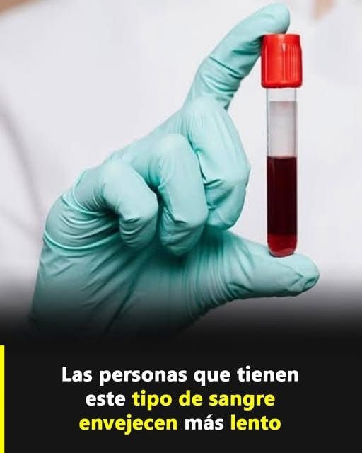 ¿El tipo de sangre influye en el envejecimiento? Esto es lo que realmente se sabe