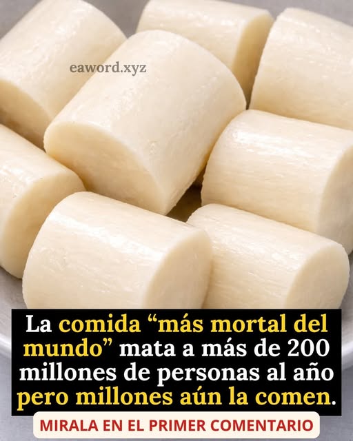 ¿La yuca es “la comida más mortal del mundo”? Beneficios, riesgos reales y cómo consumirla de forma segura