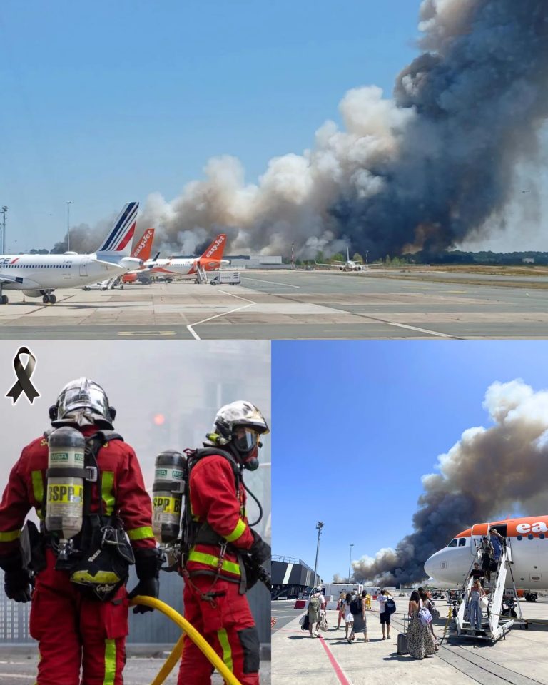 Tragedia en Francia: dos bomberos pierden la vida mientras combatían un devastador incendio cerca del aeropuerto de Burdeos