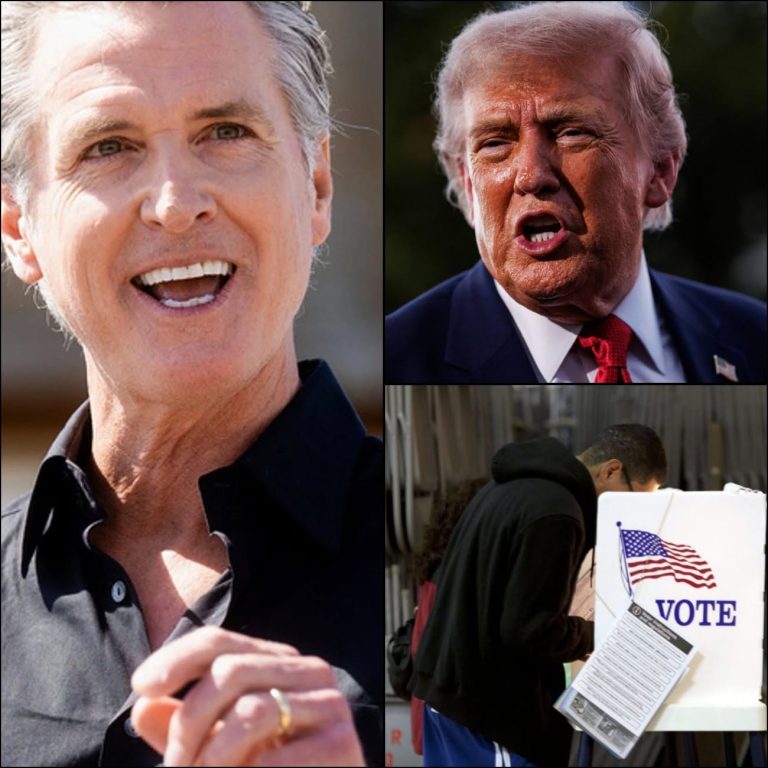 🇺🇸 Gavin Newsom emerge como una de las principales figuras demócratas frente a Donald Trump: así está el panorama político en Estados Unidos