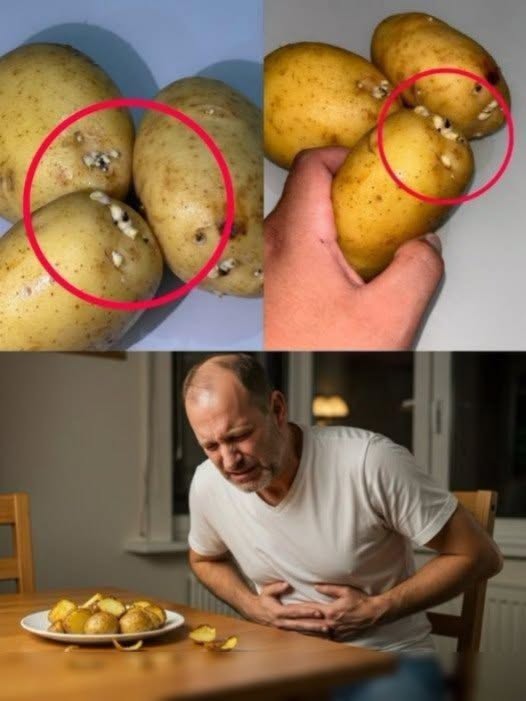 ¿Las papas producen infecciones graves? Lo que realmente significa que una papa tenga brotes y cuándo no debe consumirse