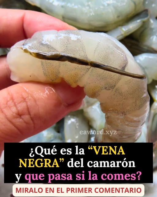 ¿Qué es la “vena negra” del camarón y qué pasa si la comes? Esto es lo que debes saber
