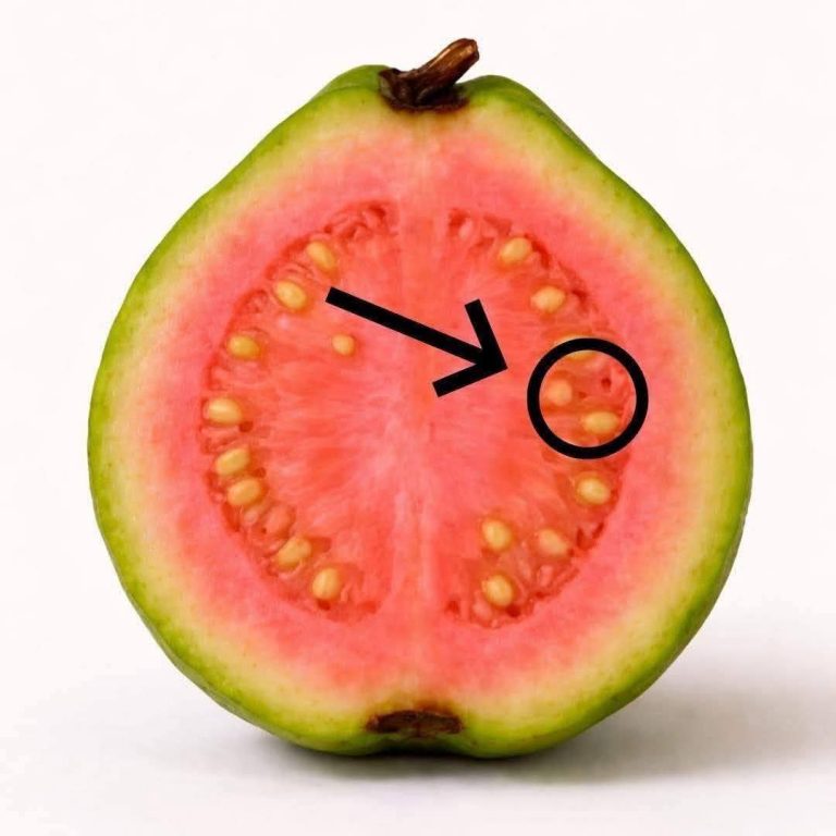¿El té de hojas de guayaba realmente tiene beneficios? Lo que dice la evidencia científica