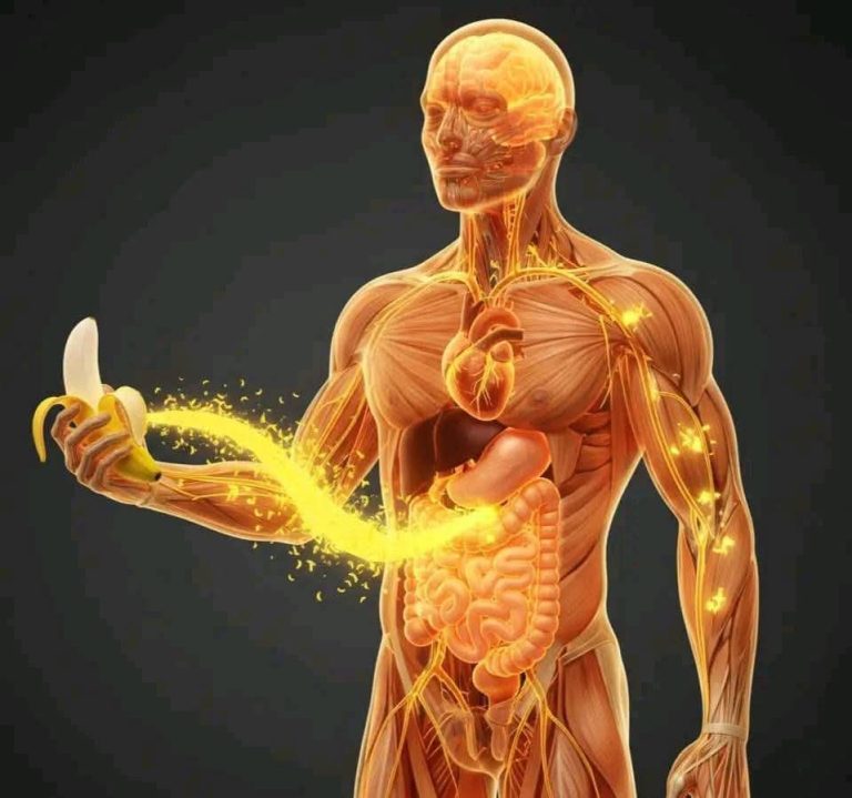 ¿Qué pasa si comes plátanos todos los días? Esto es lo que dice la ciencia