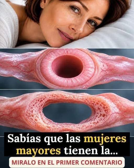 Cambios vaginales con la edad: lo que realmente ocurre en el cuerpo femenino