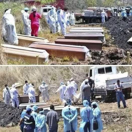 ¿Existe una alerta mundial para las personas vacunadas? Lo que realmente dicen los estudios científicos sobre las vacunas contra la COVID-19