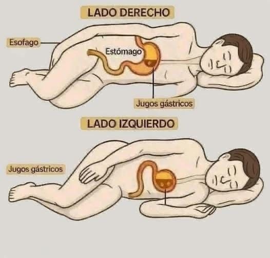 ¿Es malo dormir del lado derecho? Médicos explican qué ocurre con el estómago mientras dormimos y cuál es la mejor posición para descansar
