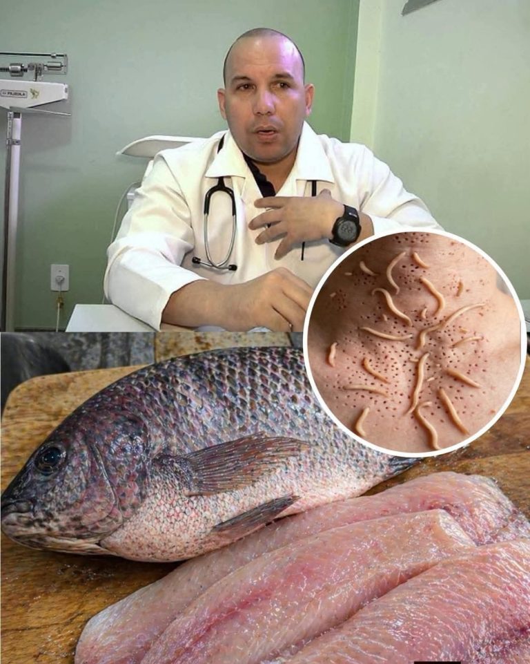 ¿La tilapia puede transmitir parásitos? Esto es lo que realmente dice la ciencia sobre este popular pescado