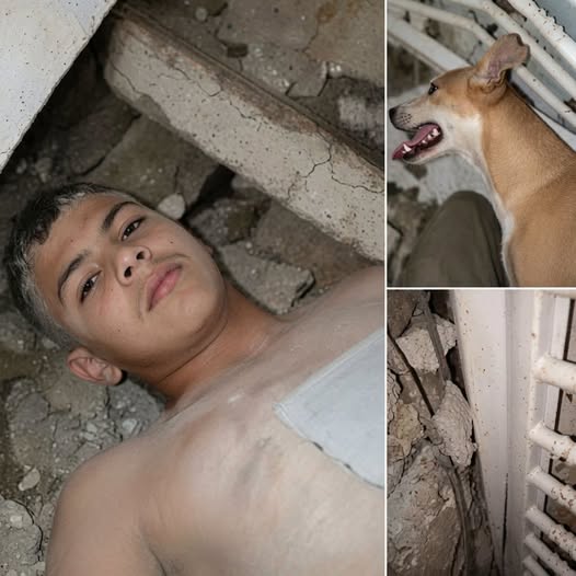 ¿Un joven fue encontrado con vida después de 336 horas bajo los escombros? La verdad detrás de la imagen viral