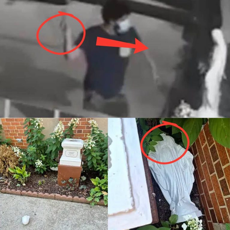 Hombre encapuchado destruye estatua de la Virgen María en iglesia de Queens y la Policía investiga