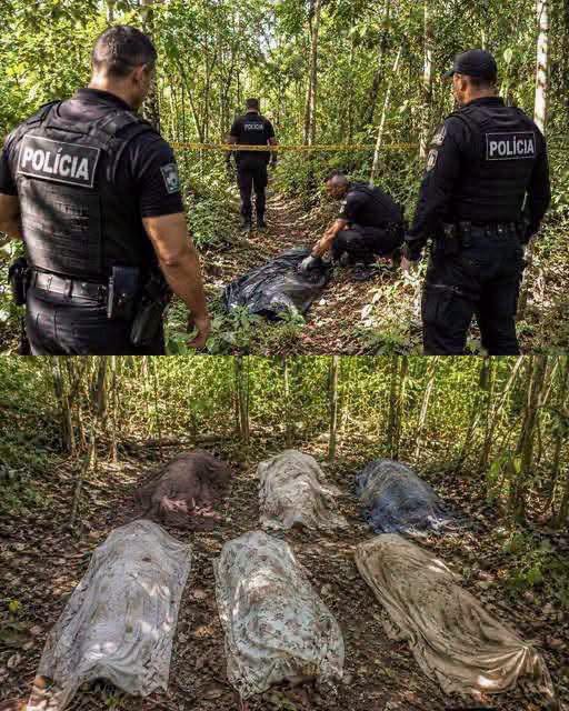 Policía investiga supuesto hallazgo de siete cuerpos en zona boscosa tras viralizarse impactantes imágenes