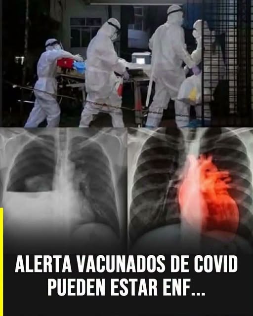 Lo que los estudios han revelado sobre la salud después de la vacunación contra el COVID-19