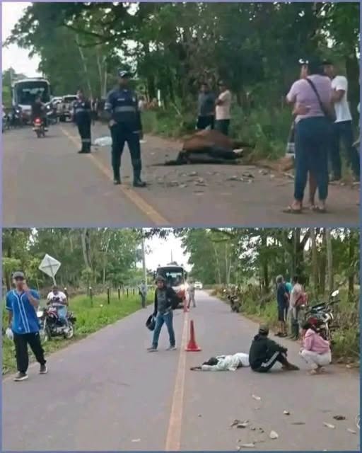 Trágico accidente en carretera deja de luto a una familia