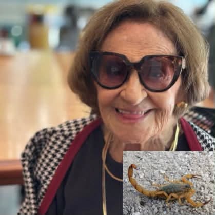 Laura Cardoso se despide a los 98 años y esto es lo confirmado sobre la causa