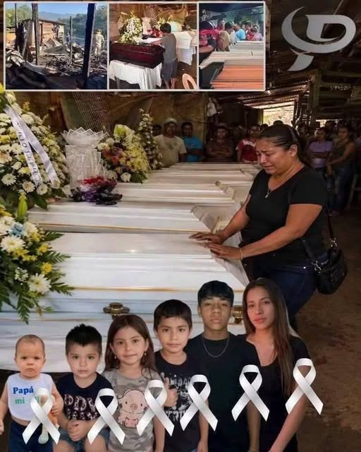 SEIS HERMANITOS PROTAGONIZAN UNA HISTORIA QUE HA CONMOCIONADO A TODA UNA COMUNIDAD
