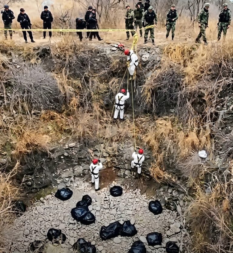 UN IMPACTANTE OPERATIVO EN UNA ZONA AISLADA MOVILIZÓ A AUTORIDADES Y EQUIPOS ESPECIALIZADOS