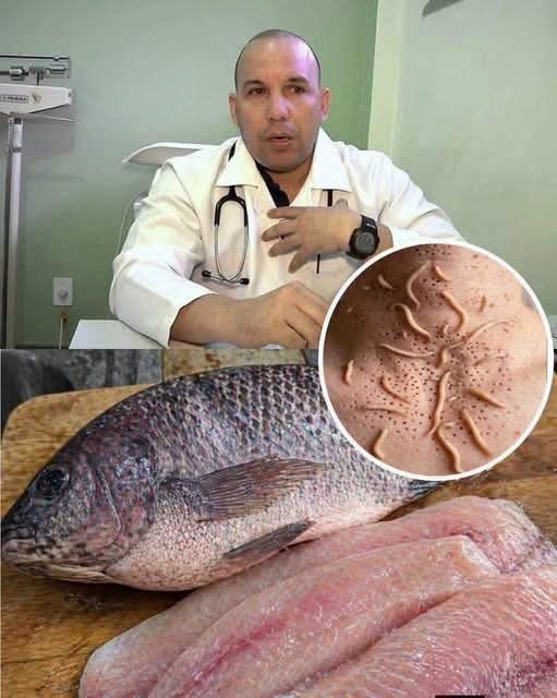 Comer tilapia: lo que debes saber antes de creer las advertencias que circulan en redes