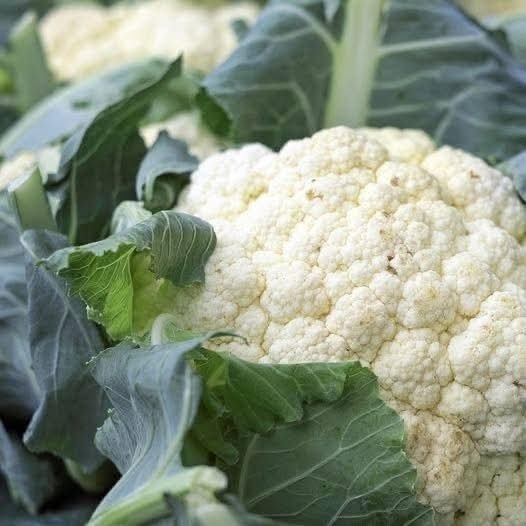 Esto es lo que puede pasar en tu cuerpo cuando consumes coliflor con frecuencia