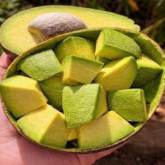 Comer aguacate todos los días puede cambiar tu dieta: beneficios, riesgos y quiénes deben moderarlo
