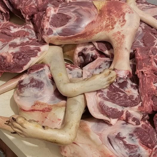 POLÉMICA POR SUPUESTA VENTA DE CARNE EN MÉXICO