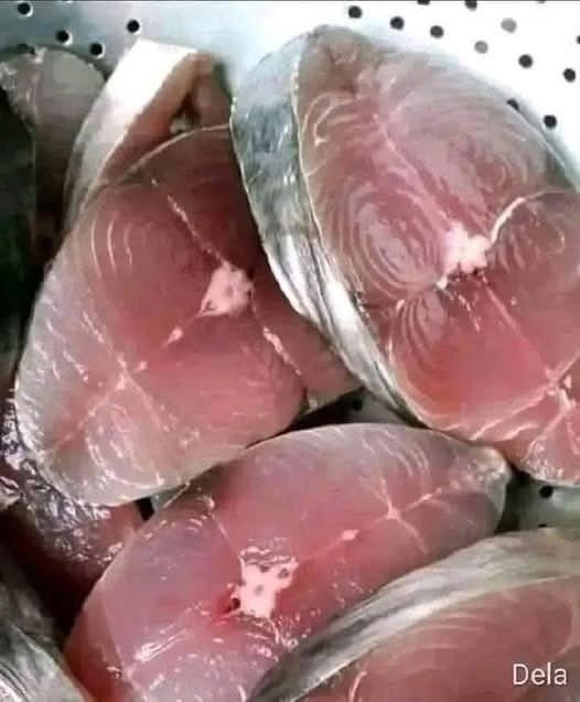 COMER PESCADO ES SALUDABLE, PERO ALGUNOS TIPOS PUEDEN ELEVAR CIERTOS RIESGOS