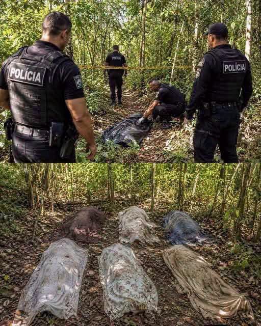 CUERPOS EN UNA ZONA BOSCOSA Y ABRE UNA INVESTIGACIÓN