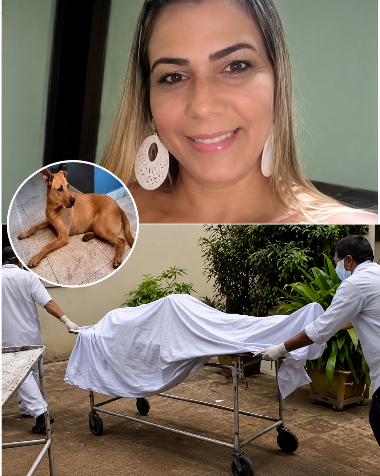 IMAGEN DE UNA MUJER, UN PERRO Y UNA CAMILLA SE HACE VIRAL CON UNA HISTORIA QUE GENERA DUDAS