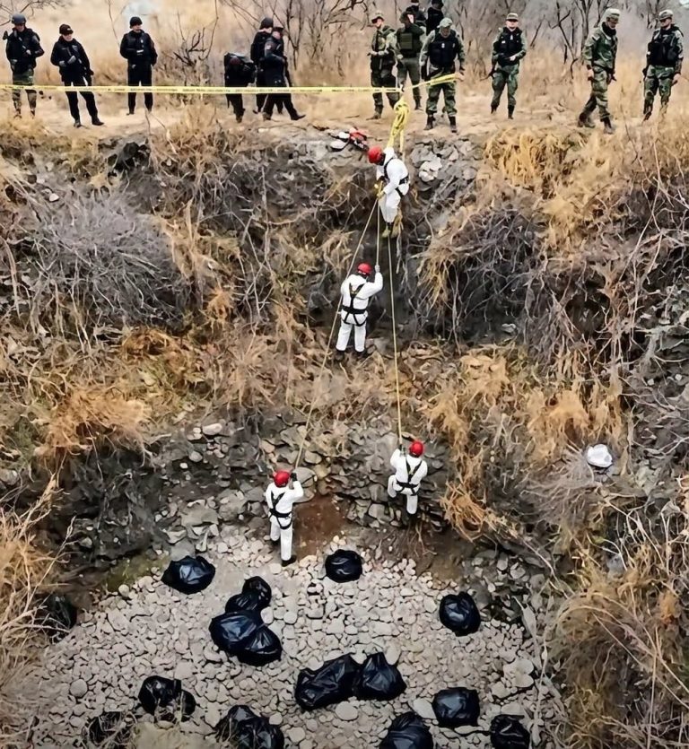 Amplio operativo de autoridades en una zona de difícil acceso genera gran atención
